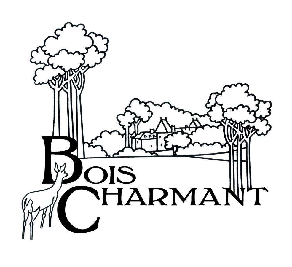 Château de Bois Charmant Les Nouillers Exterior foto